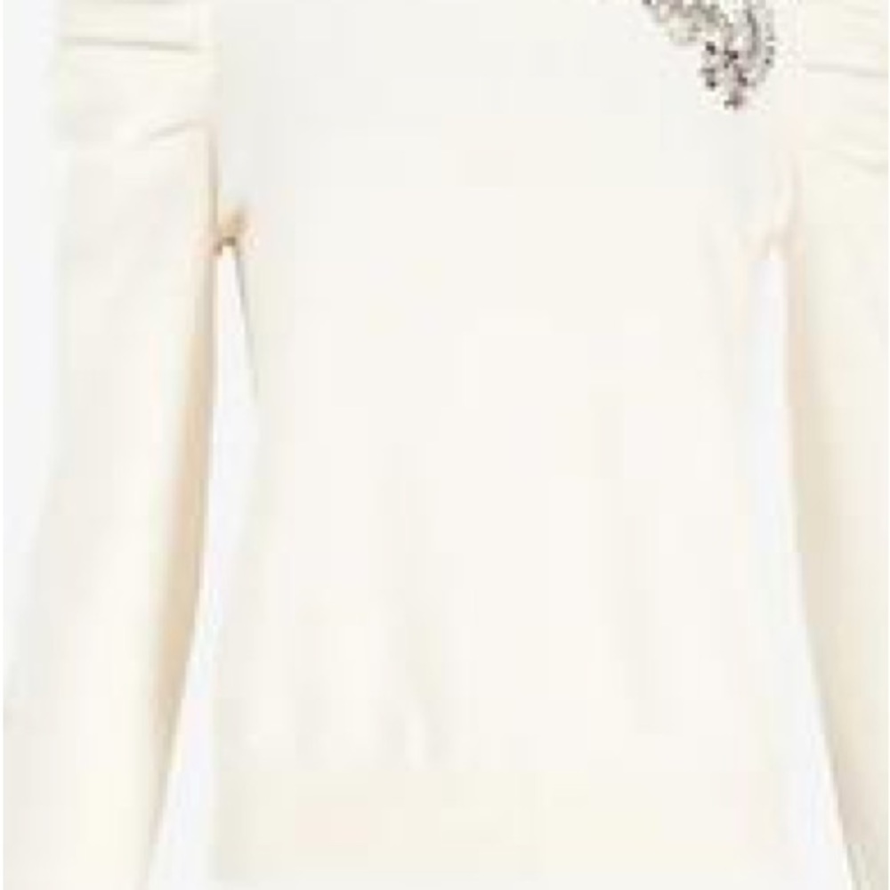 EXPRESS jewel embellished rhinestone puff sleeve sweater sweatshirt